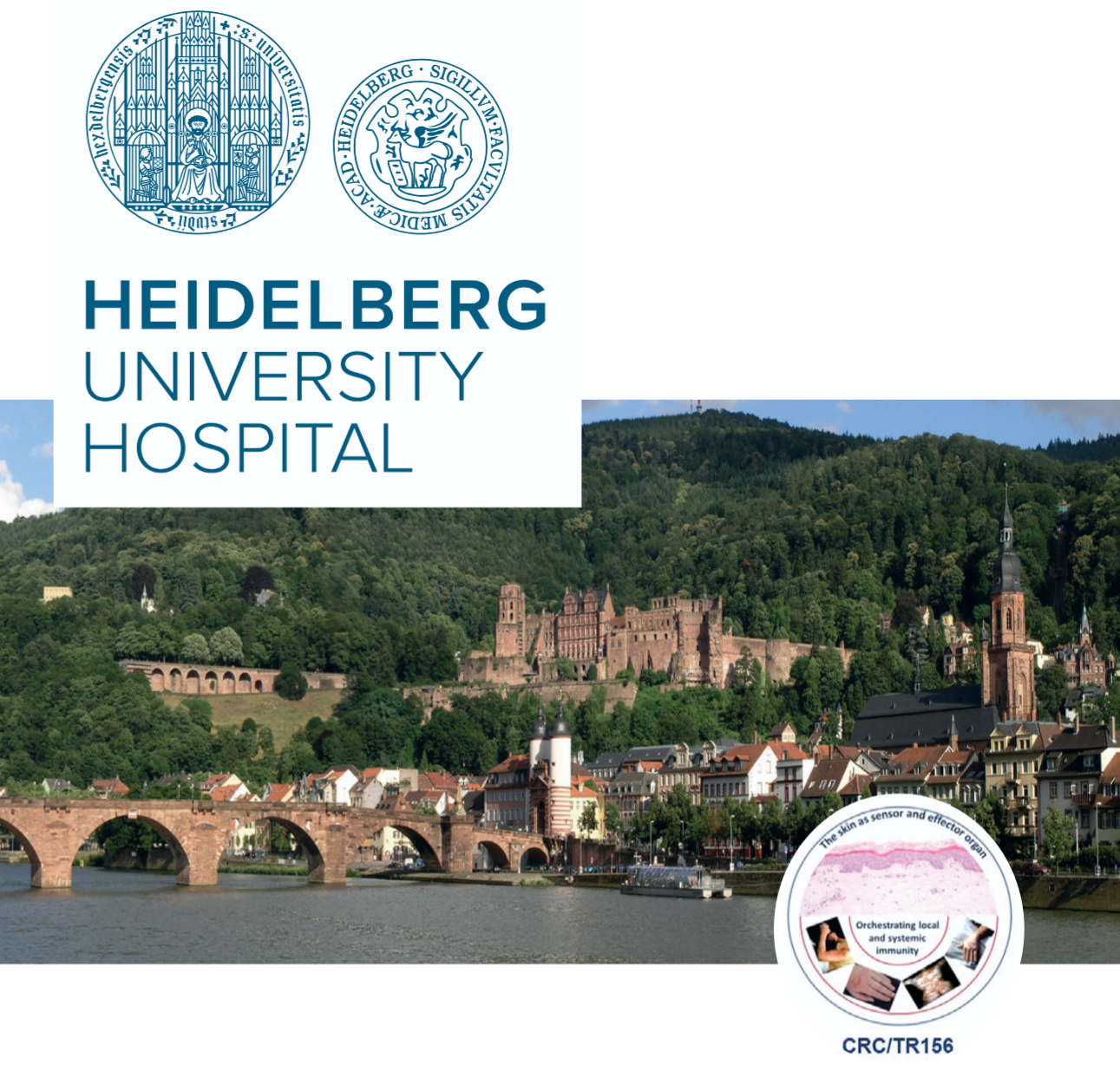3. Internationales Symposium „Frontiers in Skin Immunity“ in Heidelberg